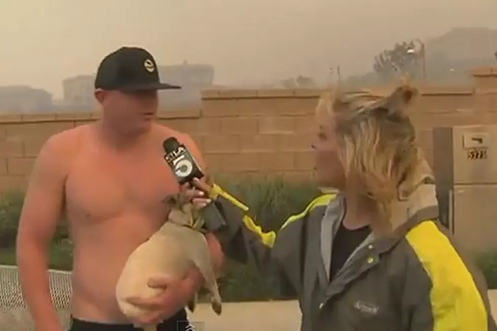 Best News Bloopers of May 2014 Are Downright Hilarious [NSFW]