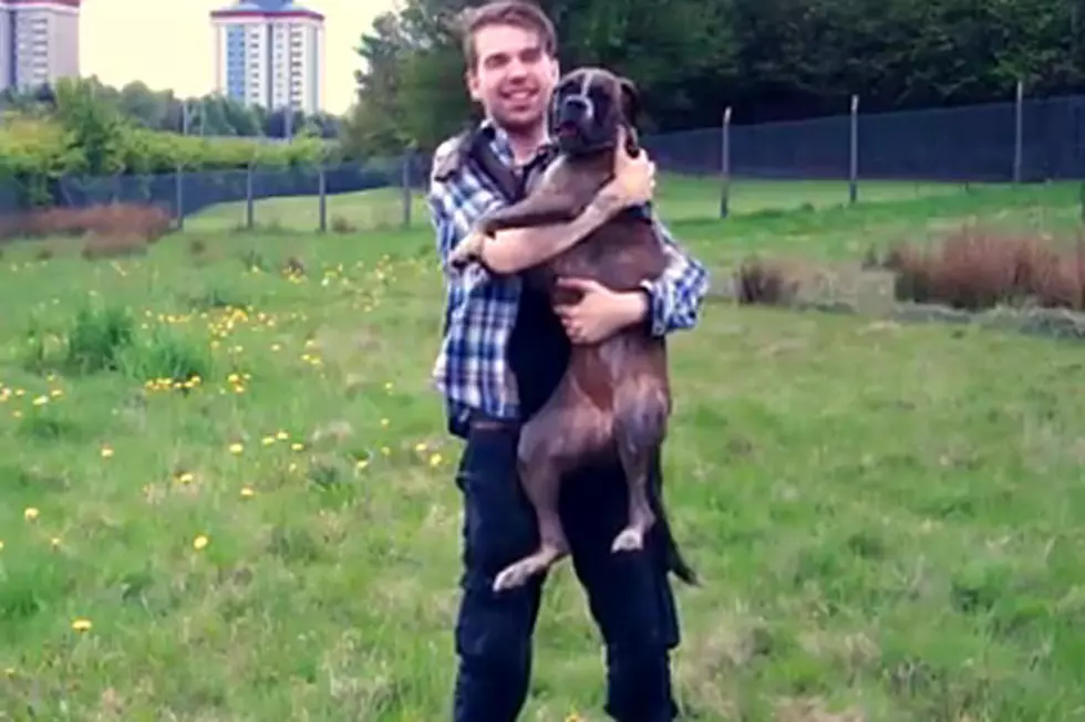 You'll Love Your Dog Even More After Watching This