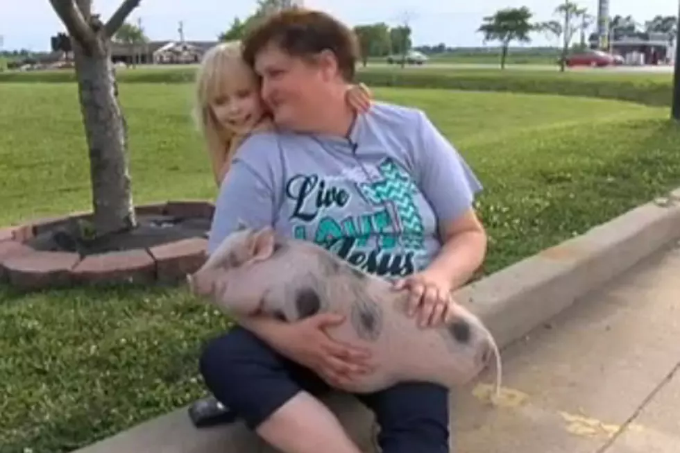 Heroic Pet Pig Saves Family From Fire