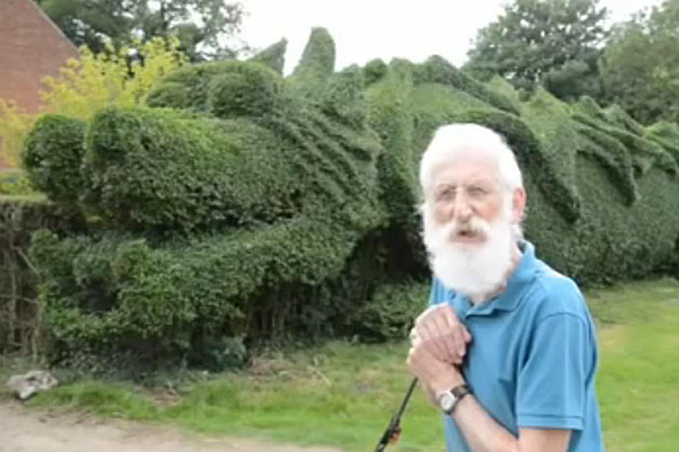 Bored Gardener Makes Gnarly Giant Dragon Out of His Hedge