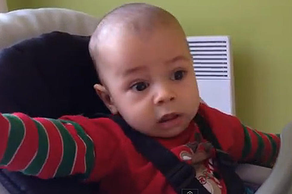 Boy Hearing Lion Roar for First Time Will Make Your Day