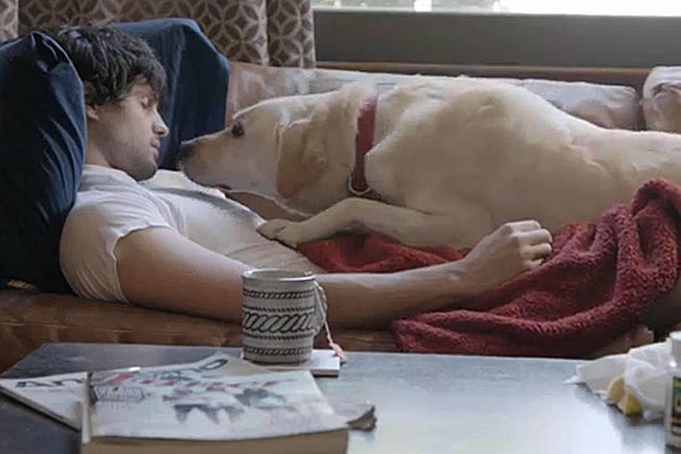 Adorable Dog Makes Budweiser&#8217;s Fantastic Anti-Drinking and Driving Commercial