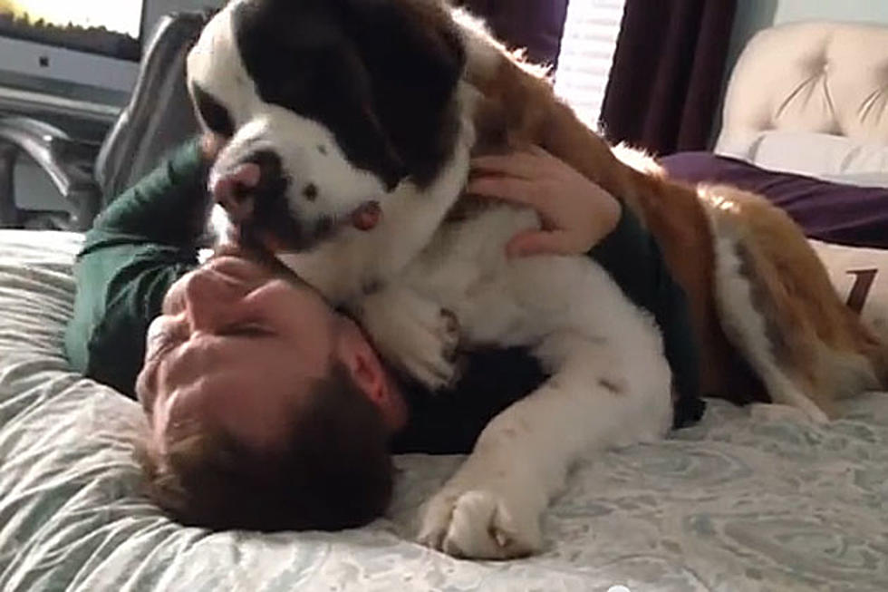 Super Happy Dog Pins Owner in Bed, Won’t Let Him Leave