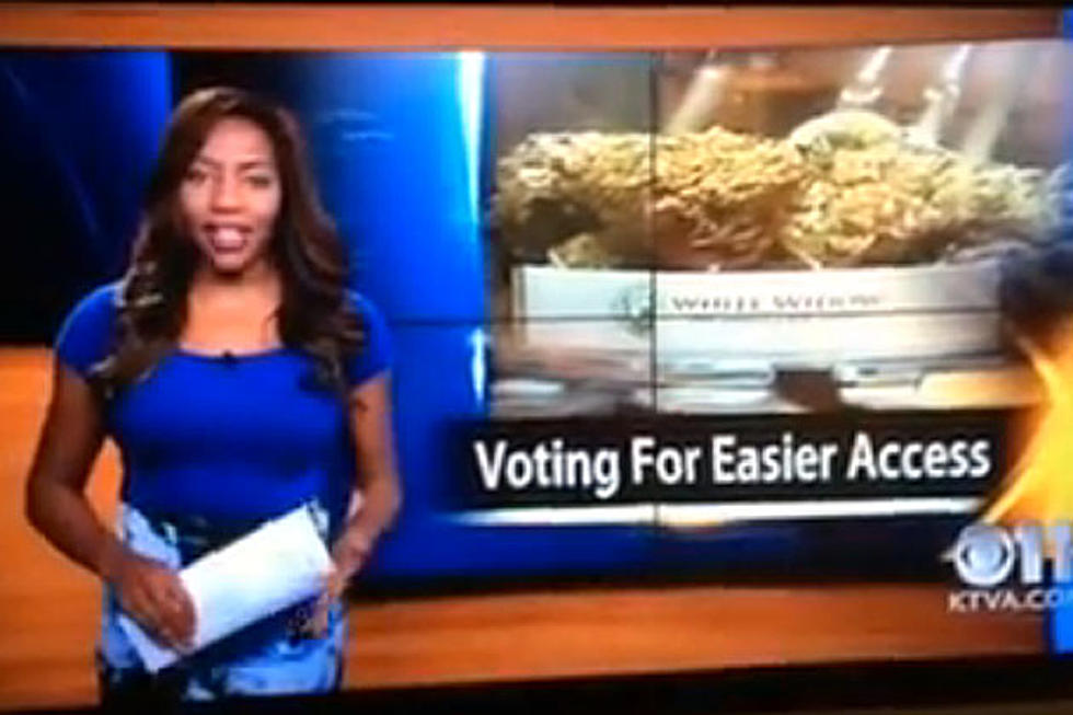 Pot-Supporting Reporter Drops F-Bomb While Quitting Live On-Air [NSFW VIDEO]