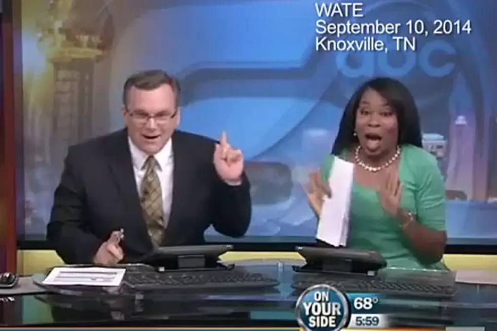 Wild Bat Is Unwanted Surprise Guest on Morning News Show