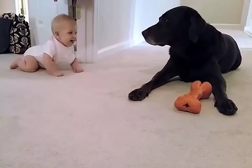 Baby Crawling for First Time Gets Surprise From Family Dog