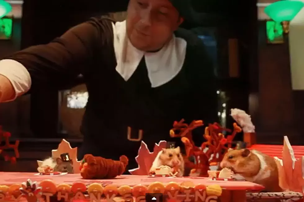 Tiny Hamster Enjoys Fabulous Tiny Thanksgiving Dinner