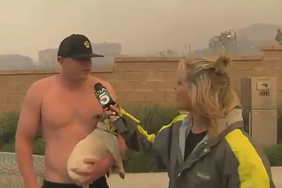 Relive the Hilarity of 2014 With These Classic News Bloopers