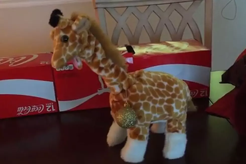 Toy Giraffe Makes the Most Terrifying Sound, Like, Ever