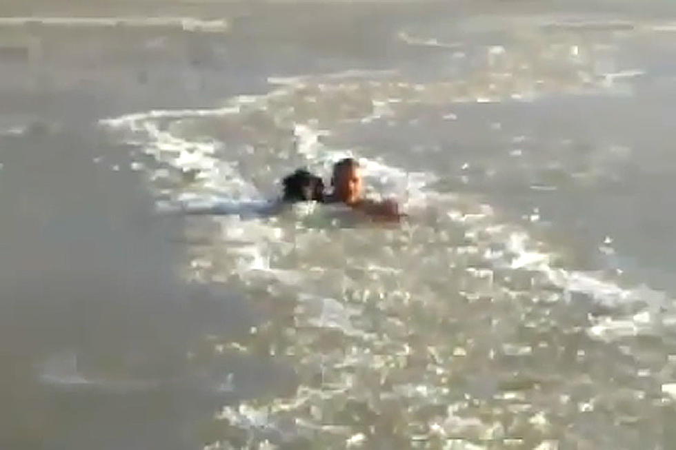 Hero Swims Through Frozen River to Save Trapped Dog