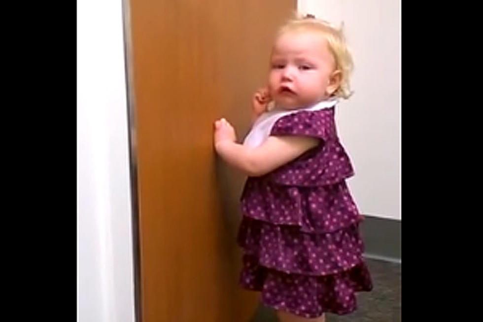 2-Year-old Girl Goes Ballistic When Her Baby Sister Is Born