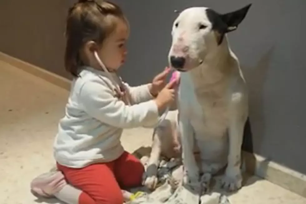 Little Girl Gives Dog Checkup, Gives Us a Case of the ‘Awwws’