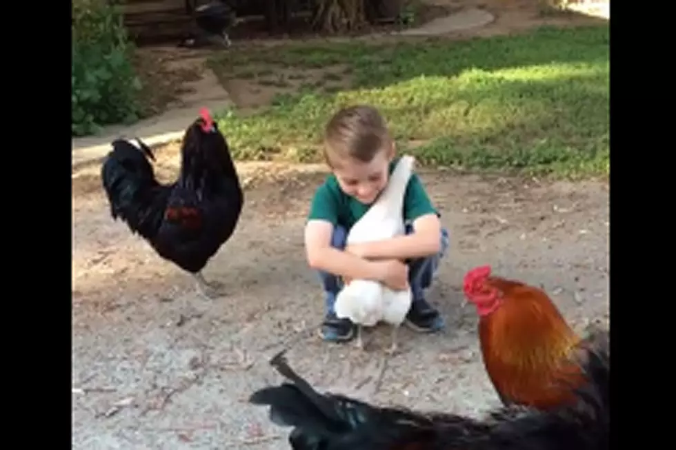 Prepare for the Sweetest ‘Boy Hugs Chicken’ Video You’ll Ever See