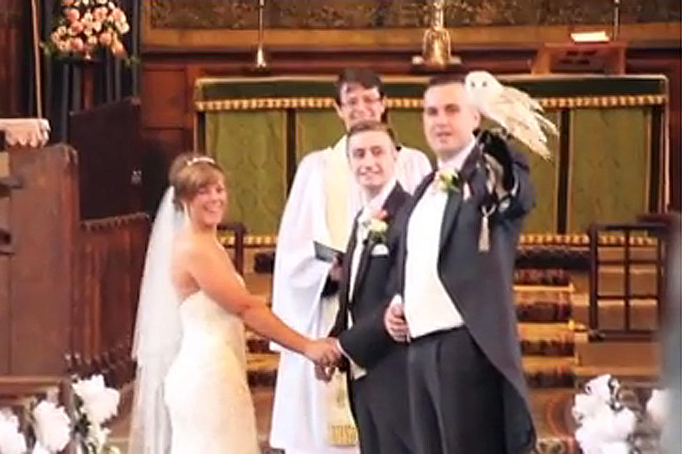Owl Makes the Perfect…Ring Bearer?