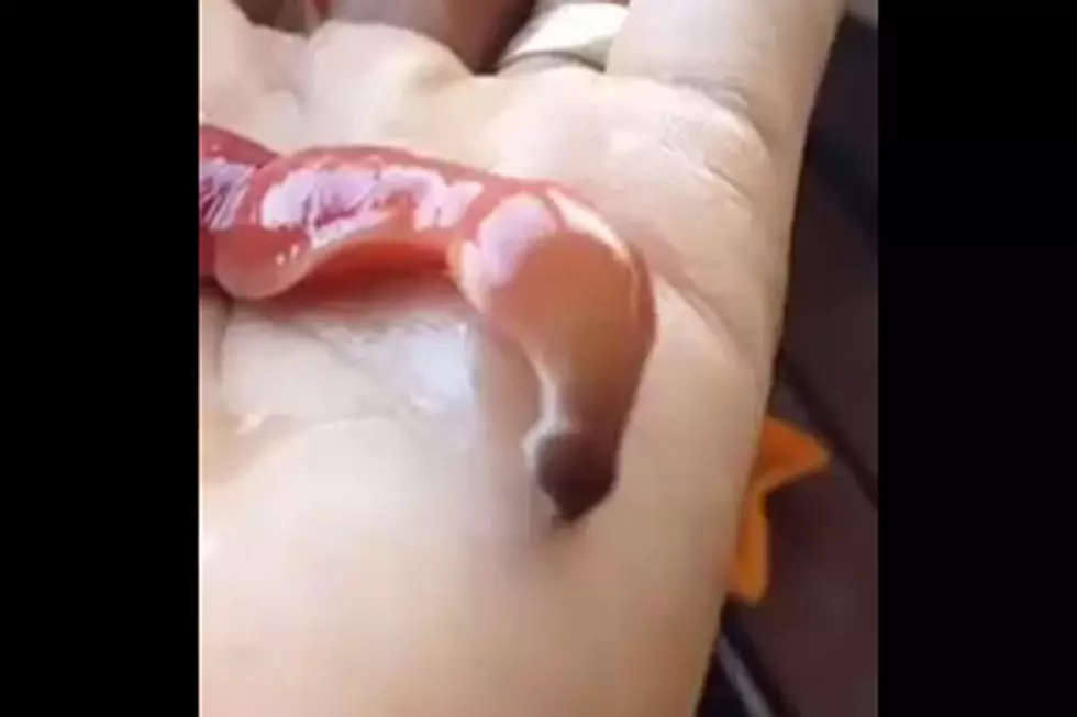 This Slimy Worm's Surprise Trick Will Creep You Out