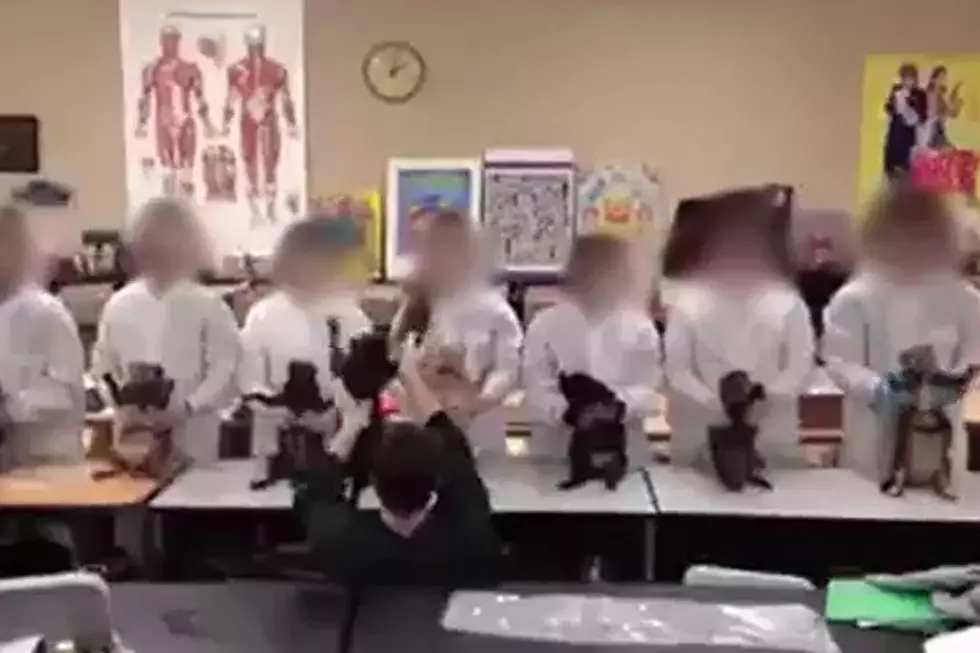 School Drops Class After Students Dance With Dead Cats