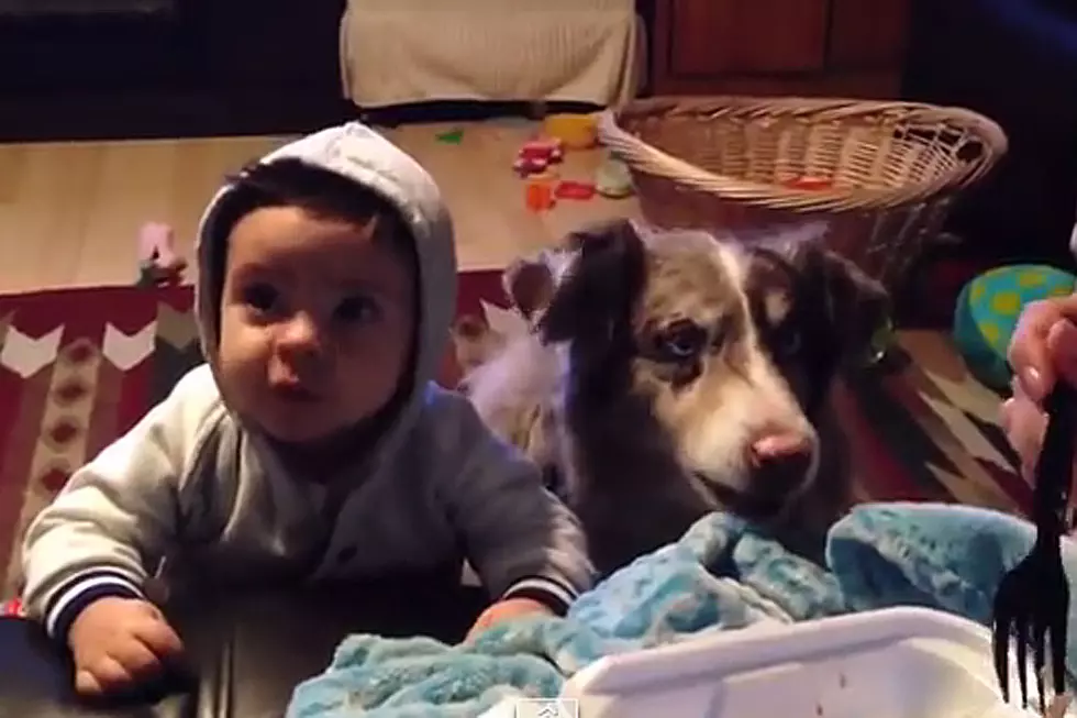 Dog Is Better at Saying ‘Mama’ Than Baby Is
