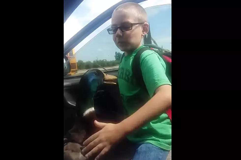 Pet Duck Has Quack-Tastic Reaction When Boy Comes Home From School