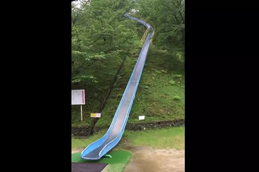 Crazy Looooong Slide Is Only for the Bravest of Souls