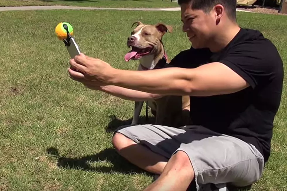 Pooch Selfie Is the Drooled-On Selfie Tool of the Future