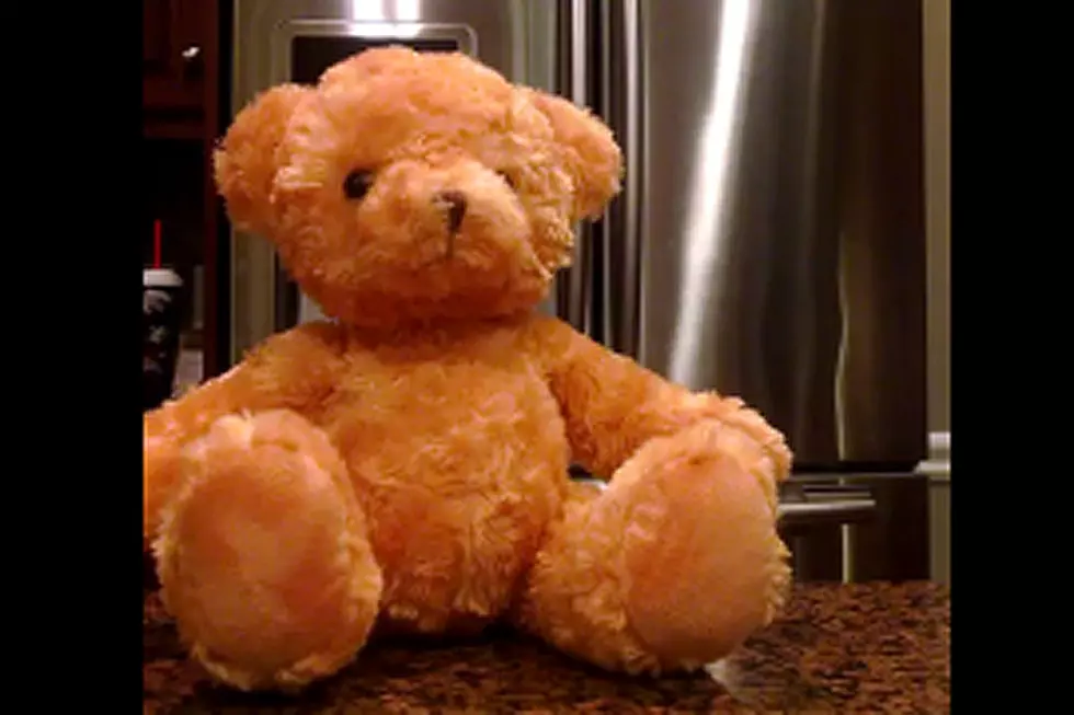 Annoying Teddy Bear Never Stops Singing ‘Happy Birthday’