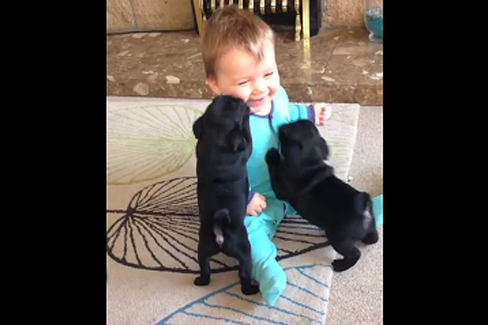 Cute Baby Laughing at Two Adorable Puppies Is Internet Gold