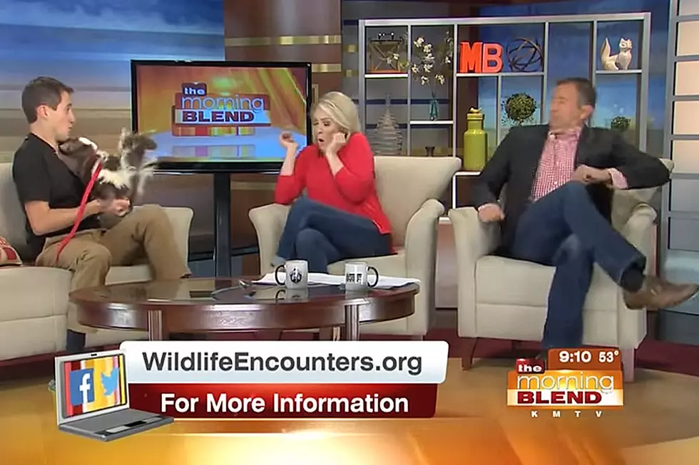 October 2015 News Bloopers Are Horrifyingly Hilarious [NSFW VIDEO]