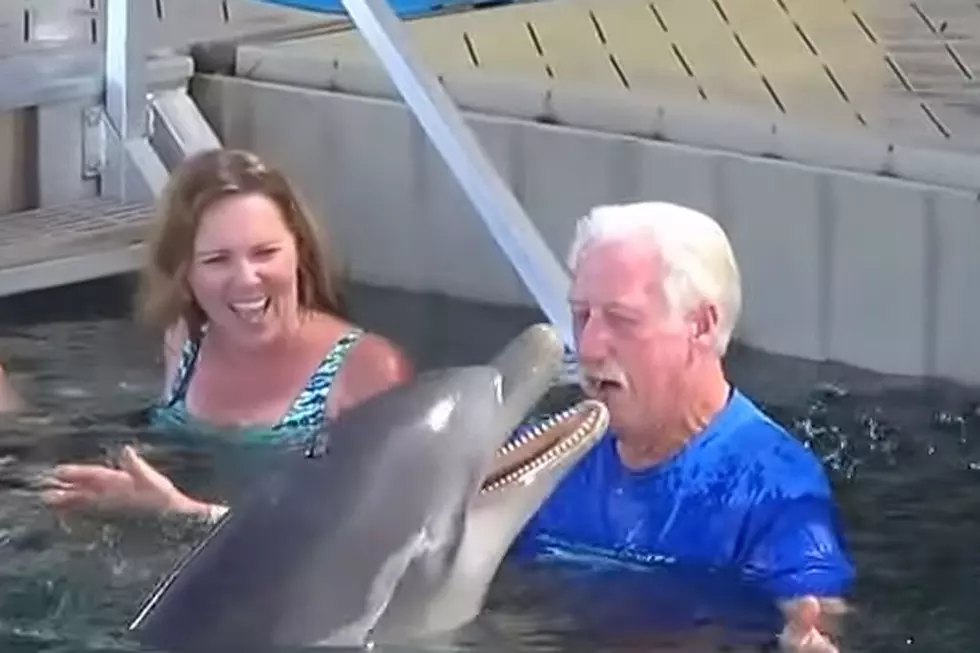 Man Has Adorable Spitting Contest With Rambunctious Dolphin