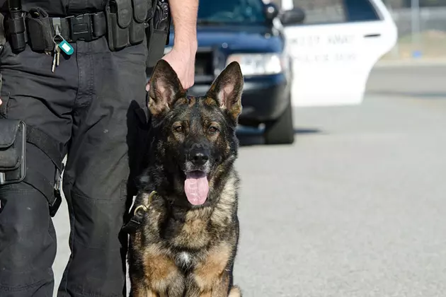 Former Camp Point Police Chief Makes Plea to Keep K-9