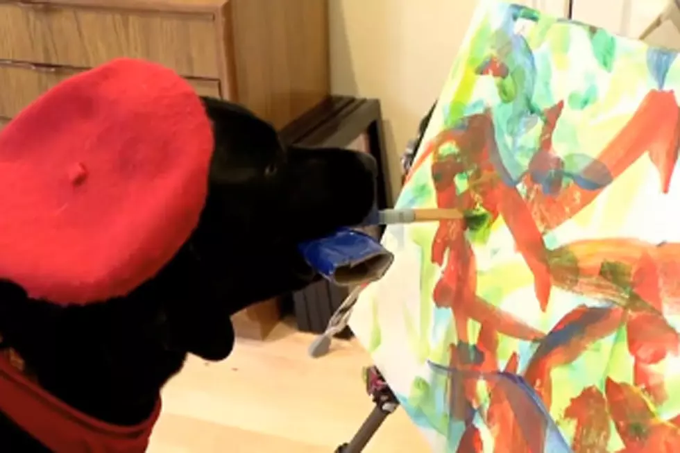 Pooch Named 'Dog Vinci' Is the World's Next Great Painter