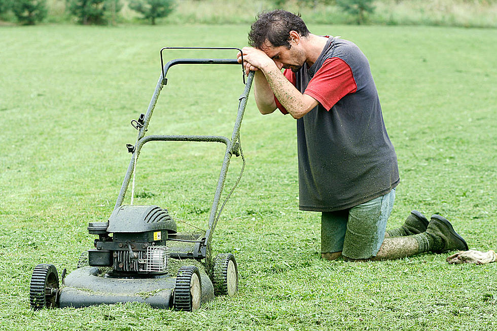 Too Hot To Mow? Let It Go!