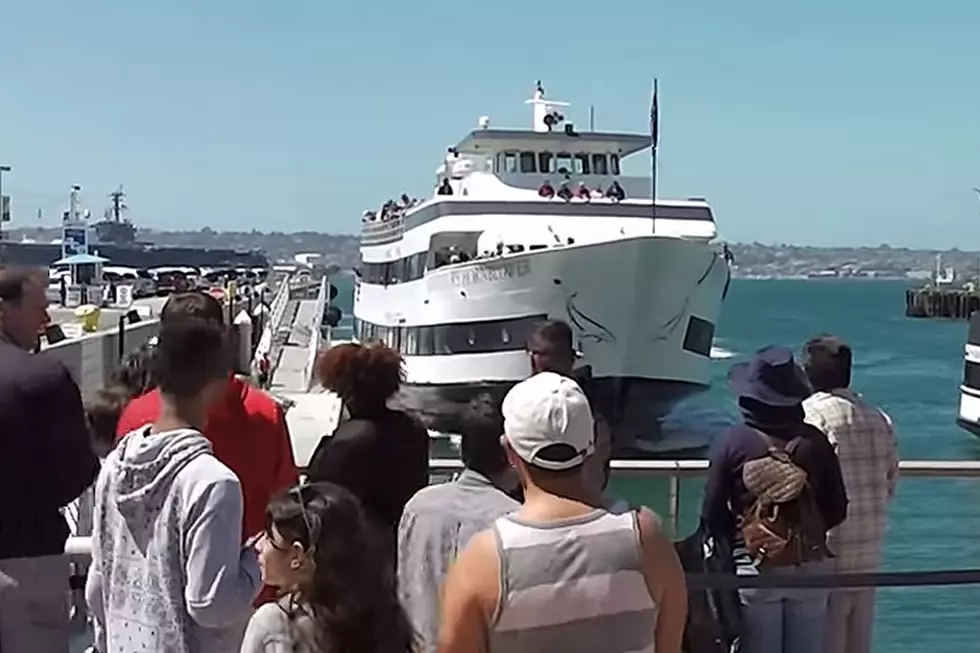 Whale-Watching Boat Majestically Crashes Into Dock