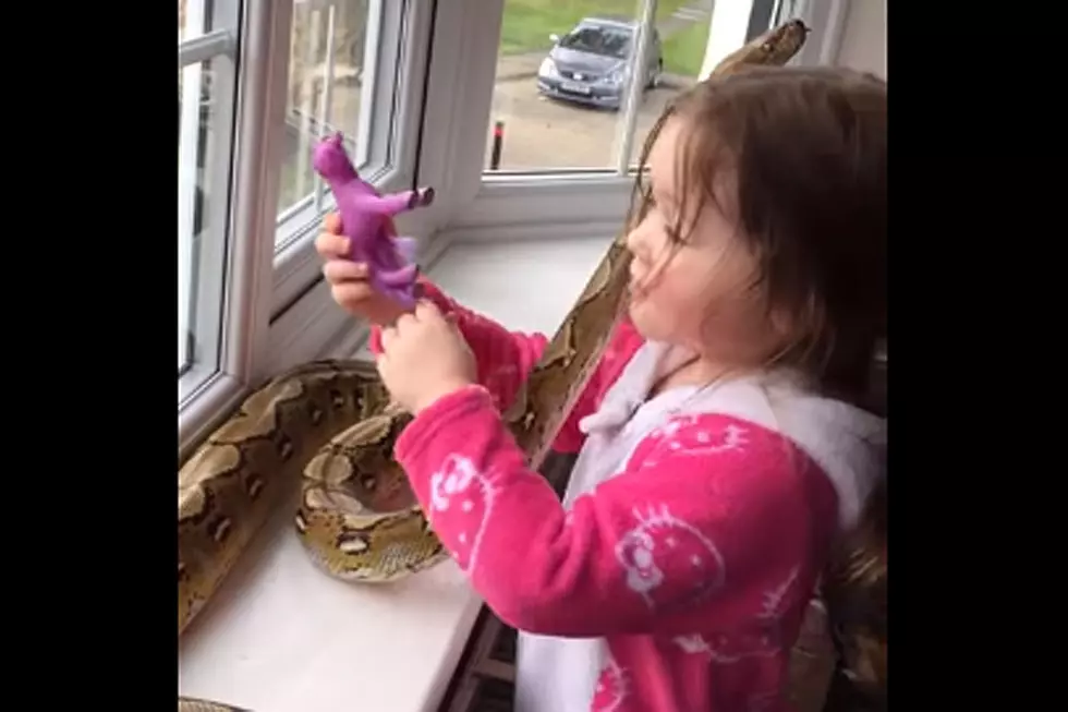 3-Year-Old Girl Hugging Snake Is Way Braver Than You’ll Ever Be