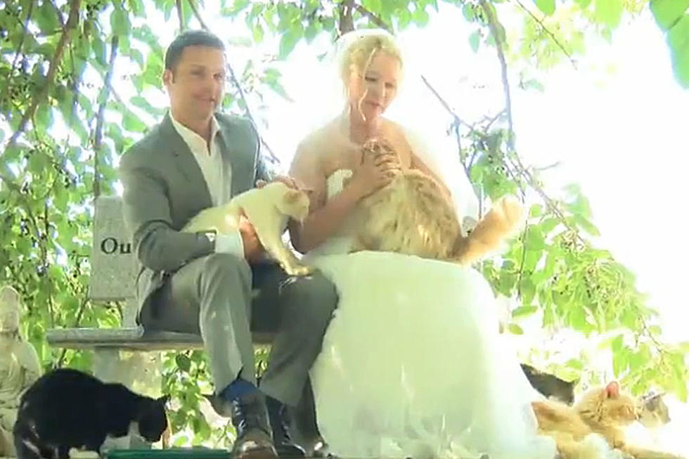 Couple That Reeeeeallllly Loves Animals Marries in Front of 1,100 Cats