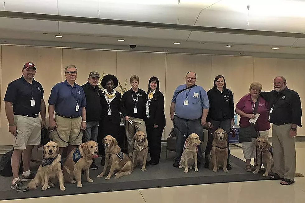 Comfort Dogs Converge on Orlando to Help Shooting Victims