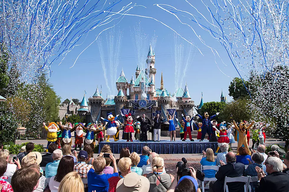 Teen Memorably Comes Out to Parents on Disneyland Ride