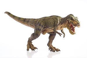 Dinosaurs That Used to Roam Texas