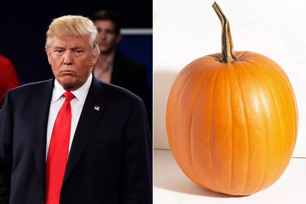 ‘Trumpkins’ Are the Most Ferociously Fearsome Pumpkins Ever