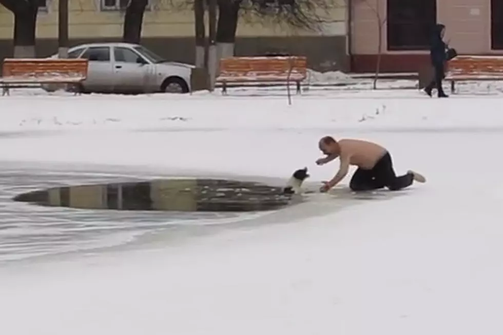 Hero of the Day: Man Without Shirt Braves Frigid Cold to Save Dog That Fell Through Ice