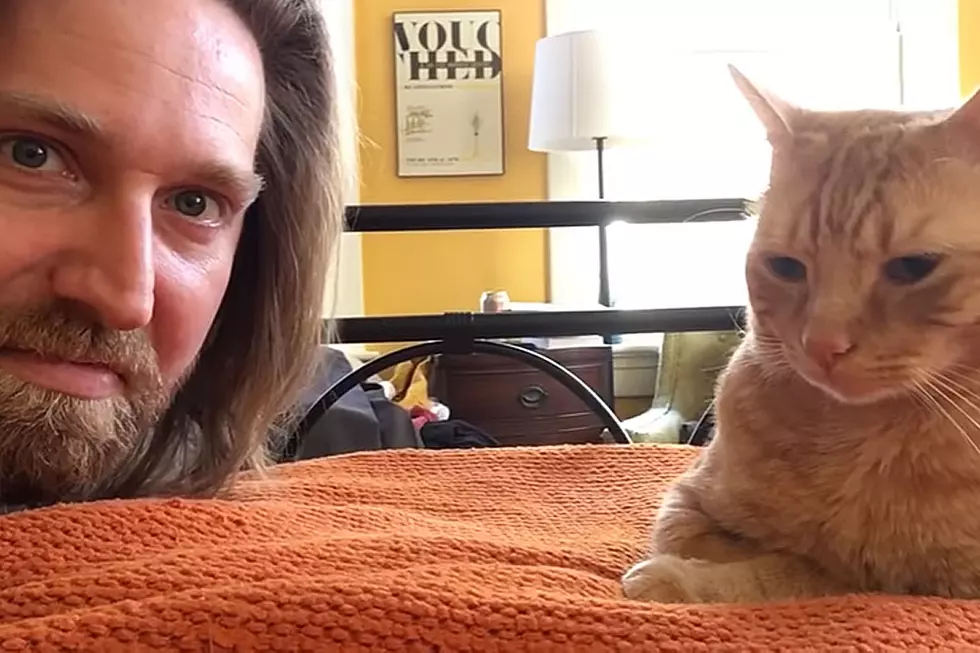 Peeved Man Gets Ultra Loud Revenge on Sleeping Cat