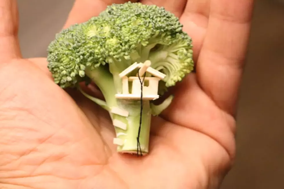Broccoli Treehouse for Ants Is the Getaway Of Our Vegetable Dreams