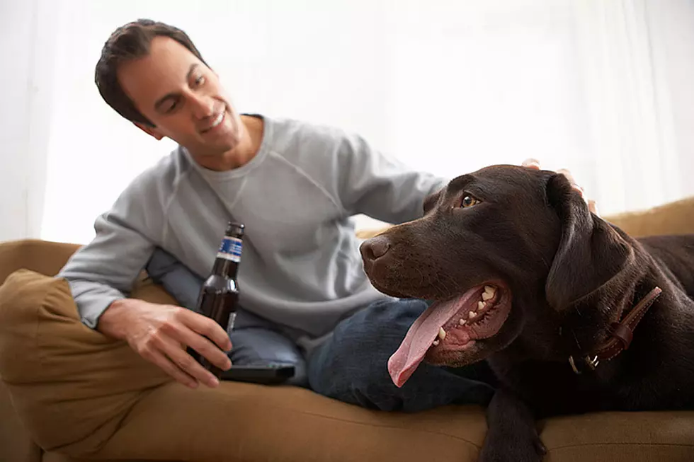 &#8216;Puppy Parental Leave&#8217; Is Now a Thing From One Awesome Brewery