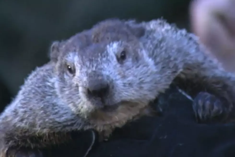 Groundhog Day 2017 -- How Much Longer Will Winter Last?