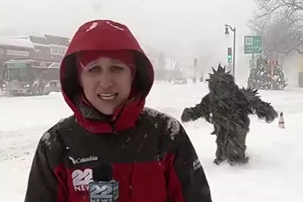 Hilarious 'Pot Sasquatch' Dominates Live Blizzard Coverage