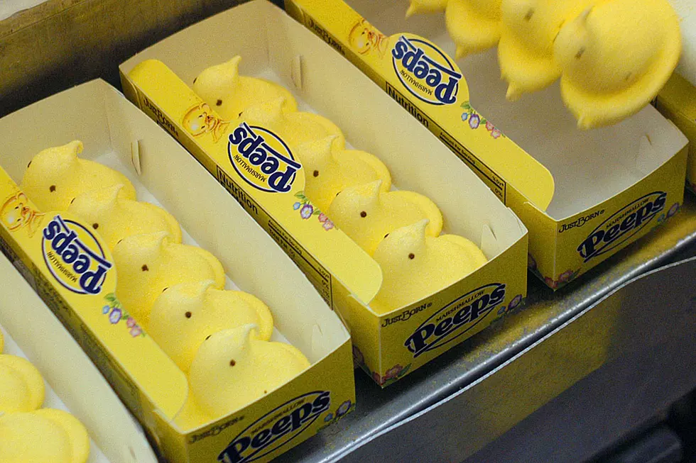 Watch Man Make History By Devouring 255 Peeps in 5 Minutes