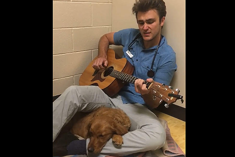 Swoon-Worthy Vet Serenades Anxious Dog Going Into Surgery