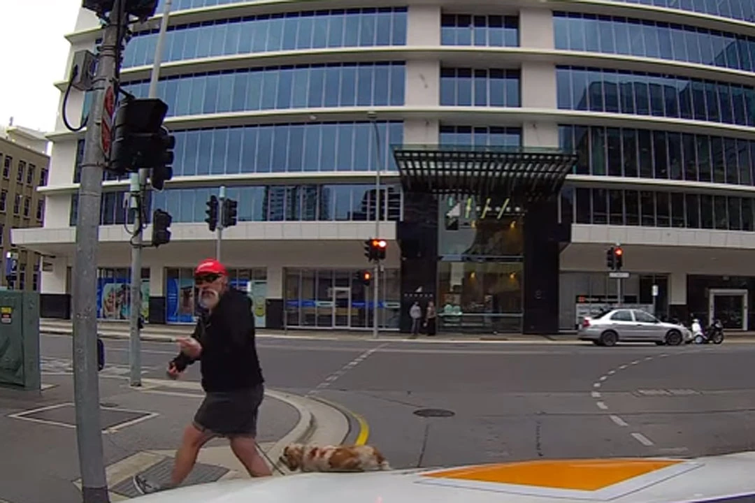 Angry Pedestrian Gets the Most Fitting Punishment Imaginable