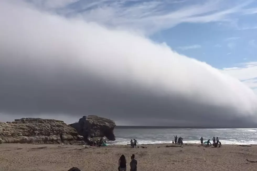 Enormous Fog Cloud Turns Sunny Beach Day Into the Apocalypse