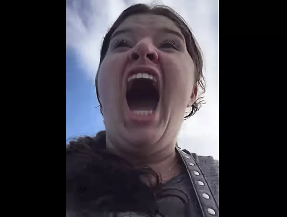 Young Lady on Roller Coaster Has Freakout to End All Freakouts