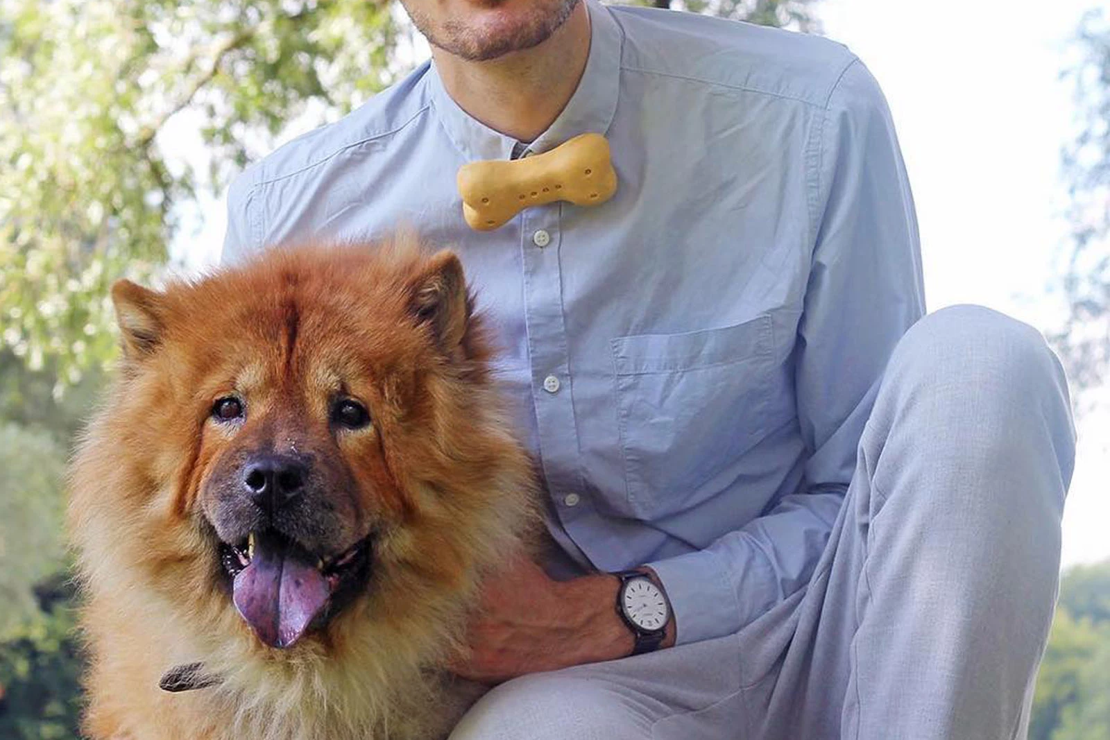 mens ties with dogs